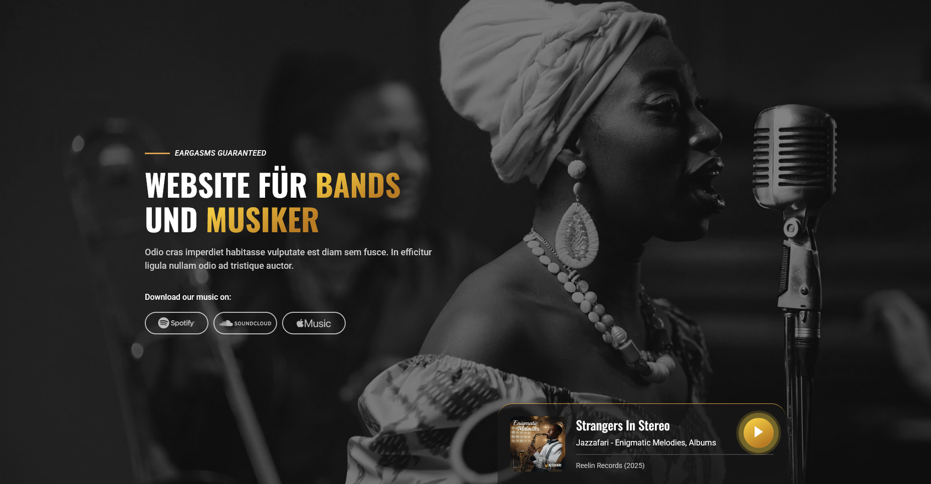 Website für Bands und Musiker